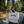 Lonsdale Pullover Grau Herren – Crewneck Sweatshirt mit Logo